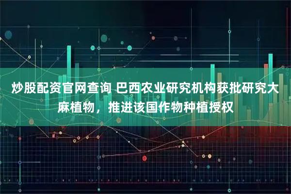 炒股配资官网查询 巴西农业研究机构获批研究大麻植物，推进该国作物种植授权